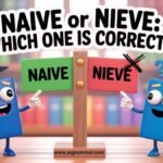 Naive or Nieve: Which One Is Correct?